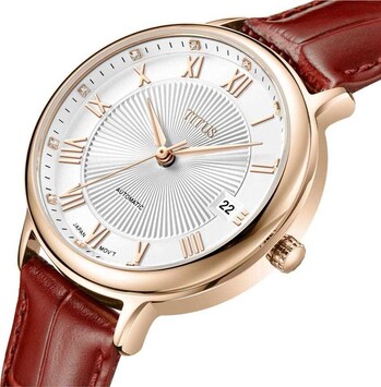 Exquisite 3 Hands Date Mechanical Leather Watch 